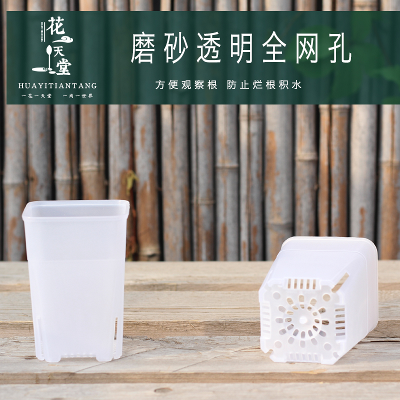 多肉塑料方高盆迷你侧开口控根多规格万象玉露块根仙人球番杏花盆,淘宝优惠券,粉丝福利购,淘宝优惠卷