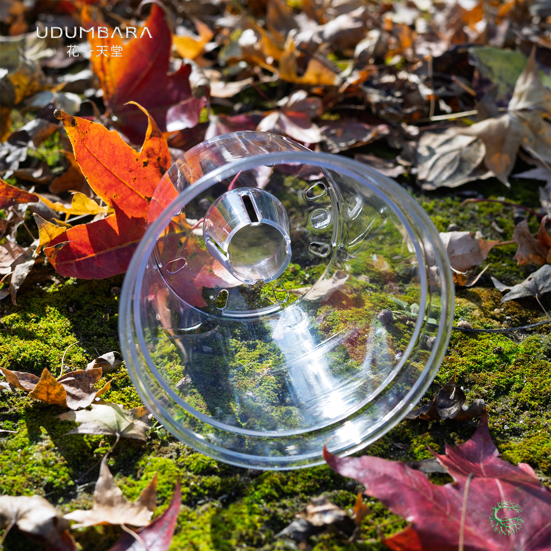 PET高透加厚圆口蝴蝶兰角堇花盆热植花卉盆栽办公桌多肉块球根盆,淘宝优惠券,粉丝福利购,淘宝优惠卷