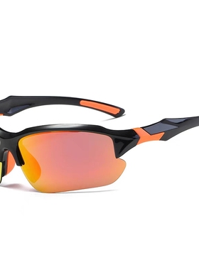 新款偏光太阳镜骑行专用防风护目