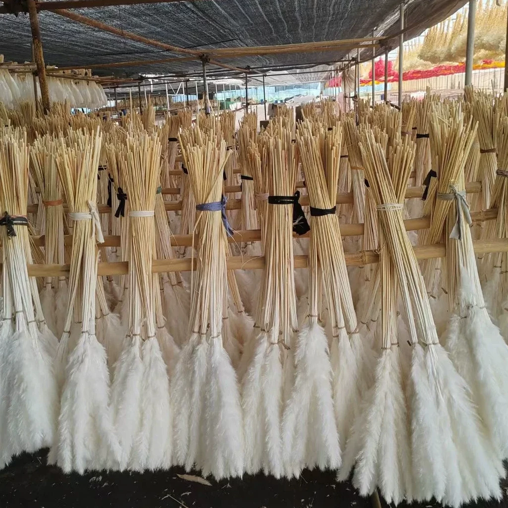 Everlasting flower dried bouquet, real flower, air-dried natural reed grass diy material package, handmade home furnishings decoration
