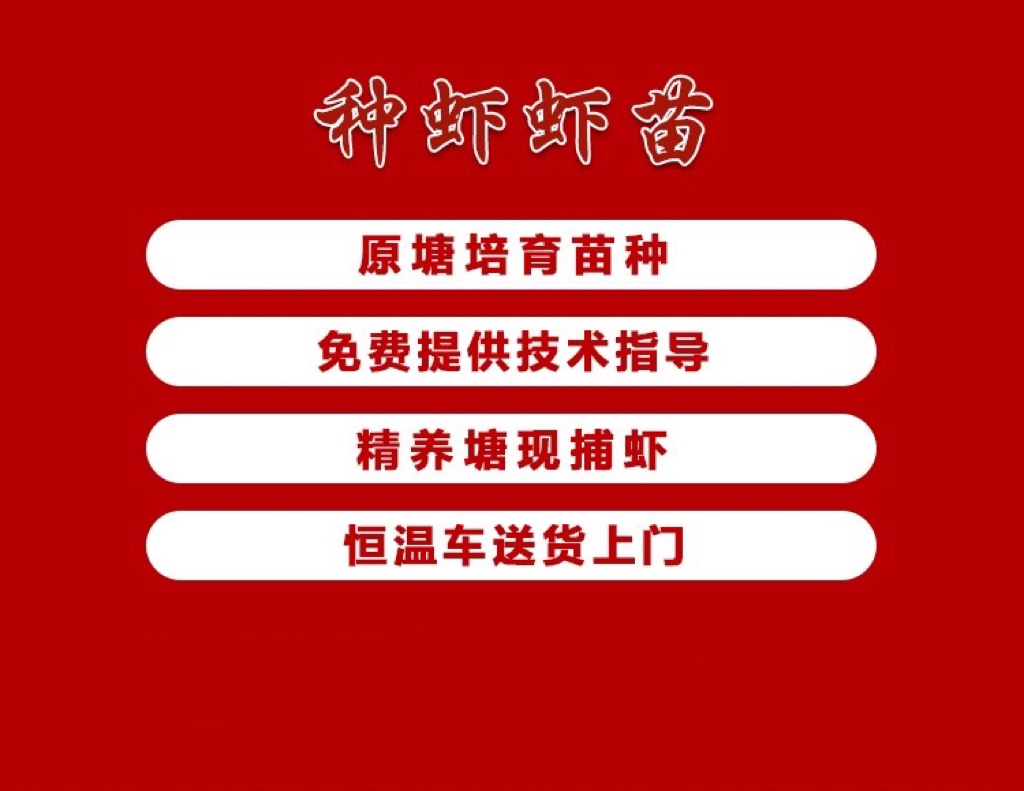 小龙虾苗种虾抱卵青虾活体虾淡水养殖龙虾苗优质苗种种虾苗种龙虾