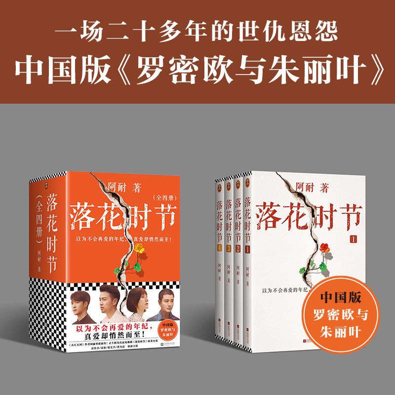 落花时节小说全套共4册 阿耐 雷佳音 袁泉 贾乃亮主演电视剧原著 正午阳光 现代都市情感成长励志剧 大江大河 欢乐颂 都挺好作者