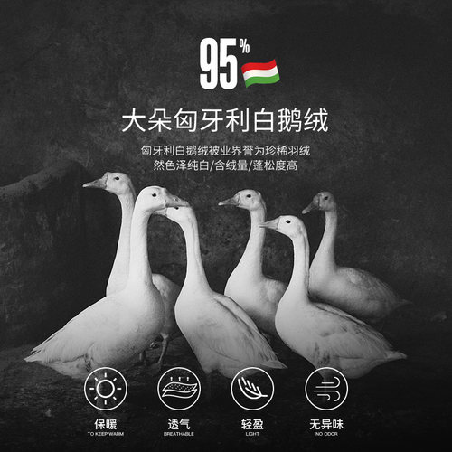 格兰贝恩匈牙利95白鹅绒羽绒被冬被加厚保暖酒店双人被子春秋被芯 - 图0
