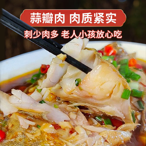【3条更划算】黄山臭鳜鱼安徽特产正宗徽州臭桂鱼净膛真空装 - 图1