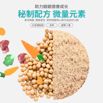 Food Feed of the Eat Food Tinnitus food tinnitus larvae special food to help metaskin enlarge Wings Robust Exoskeleton