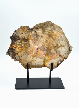 中古风新中式天然木化石摆件玉璧装饰品售楼处样板间玄关书柜饰品