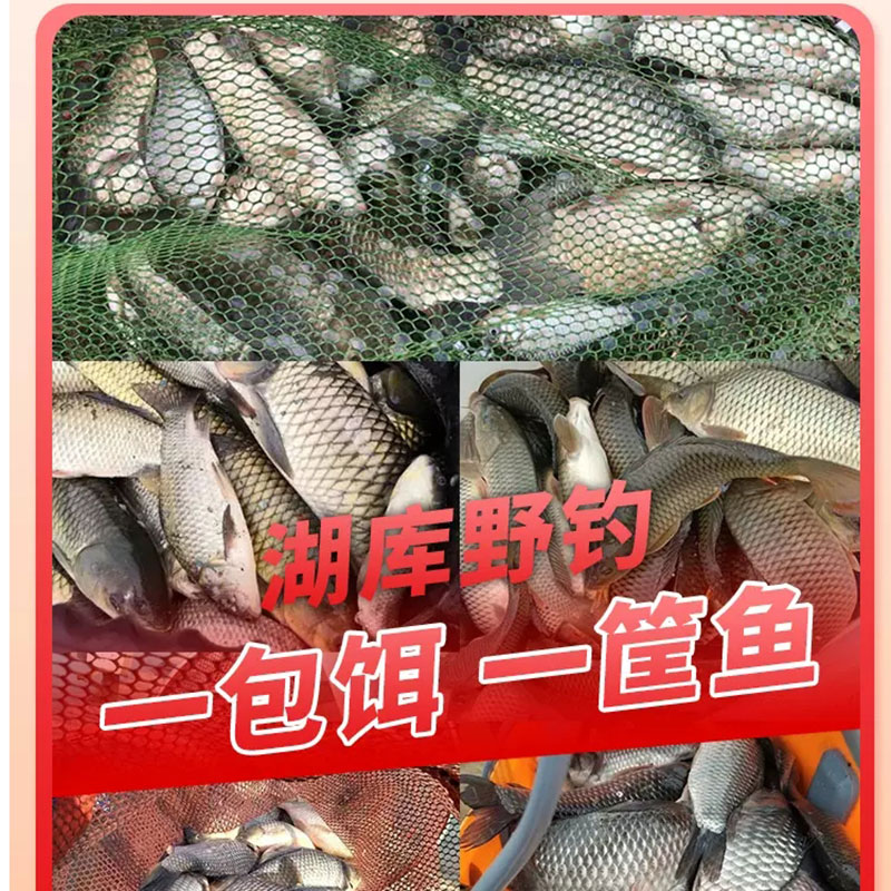 钓鱼王大丰收浓腥味昆虫蛋白鱼饵野钓鲫鲤鱼专用鲢鳙鱼食钓鱼饵料 - 图2