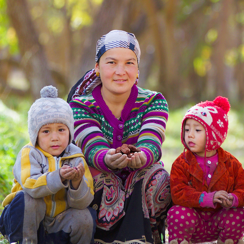 西域果园官方旗舰店西域果园新疆红枣若羌灰枣小枣1000g阿克苏红枣干果特产整箱包邮1