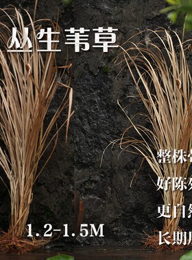 天然橱窗拍摄文艺桌面送男友干花