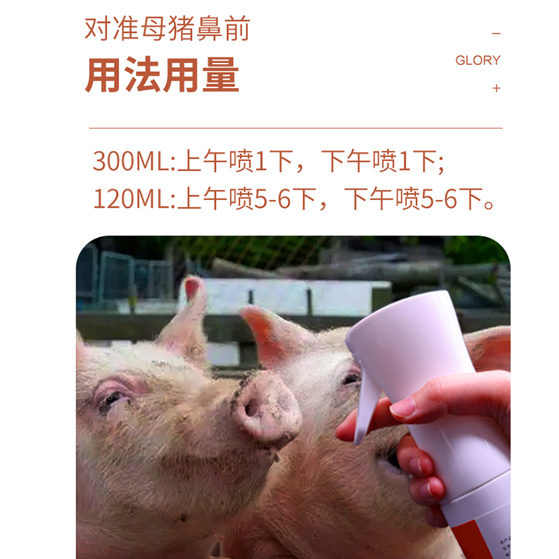 宁波二厂公猪气味剂后备母猪发情诱情剂兽用荷尔蒙喷雾配种查情-图0