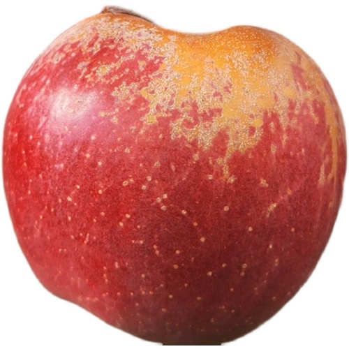大凉山丑苹果水果新鲜当季整箱10斤四川盐源红富士冰糖心苹果包邮