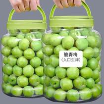 (Selected Great Fruits) Fresh Green Plum Fresh Fruits Now Removed Wild Sour Crunchy Plum Bubble Wine 5 Cati