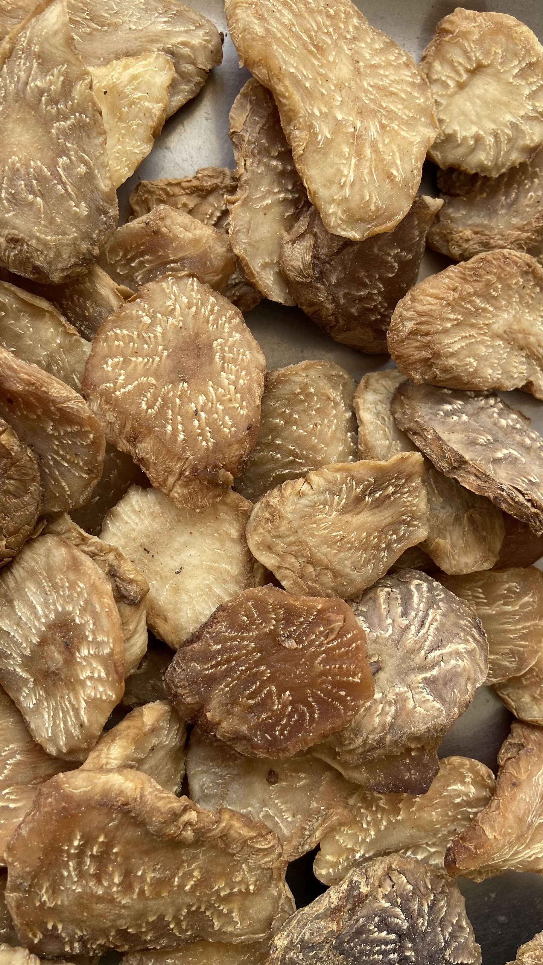 阿拉善优质高质肉苁蓉鲜干切片正宗养生滋补干净方便食用泡水500g