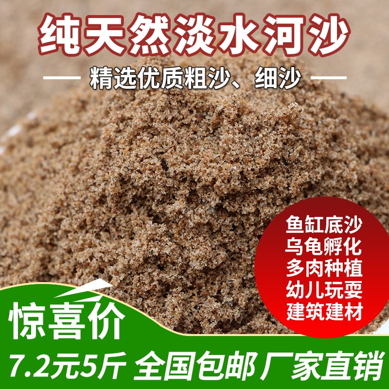 天然淡水河沙养花种植土粗细黄沙多肉铺面石鱼缸底砂建筑试验滤材-图0