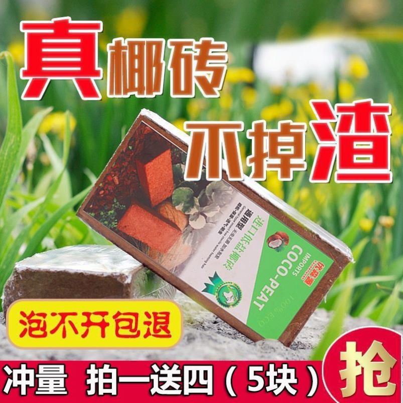 椰砖无盐无菌营养土通用型椰土无盐椰糠土种花养花种菜种植椰砖土 - 图2