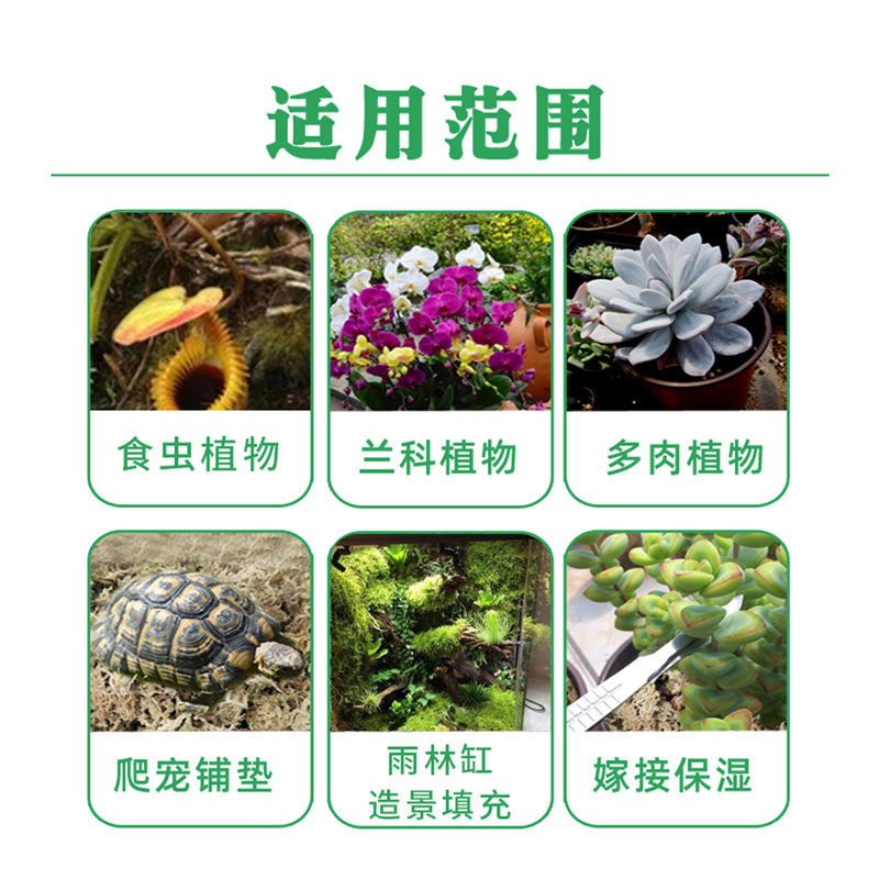 水苔包邮蝴蝶兰花专用营养土无菌智力干水苔兰花无土栽培介质花土 - 图3