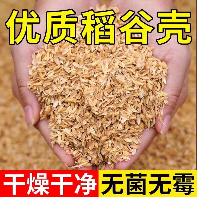 新鲜稻壳谷壳花草营养土宠物窝垫料酿酒醋辅料保健枕头填充物包邮 - 图1