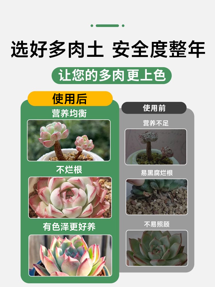 多肉营养土颗粒专用土壤种植多肉土养花通用型泥炭植物花土铺面石 - 图1