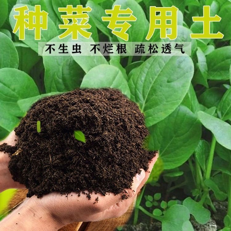 营养土养花通用型土壤种植土种菜种花有机土盆栽花肥土养花营养土 - 图0