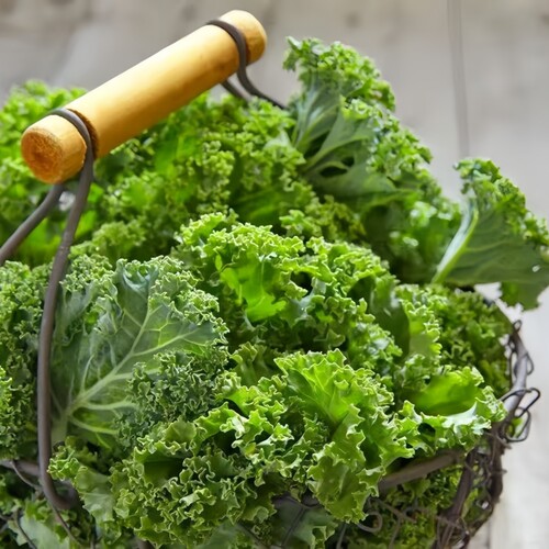 羽衣甘蓝可食用蔬菜植物盆栽克拉香草低热量轻食减脂饮品沙拉新宠 - 图0