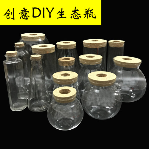 生态瓶DIY鱼微景观生态球高朋硅创意DIY设计花瓶玻璃鱼缸办公桌 - 图2