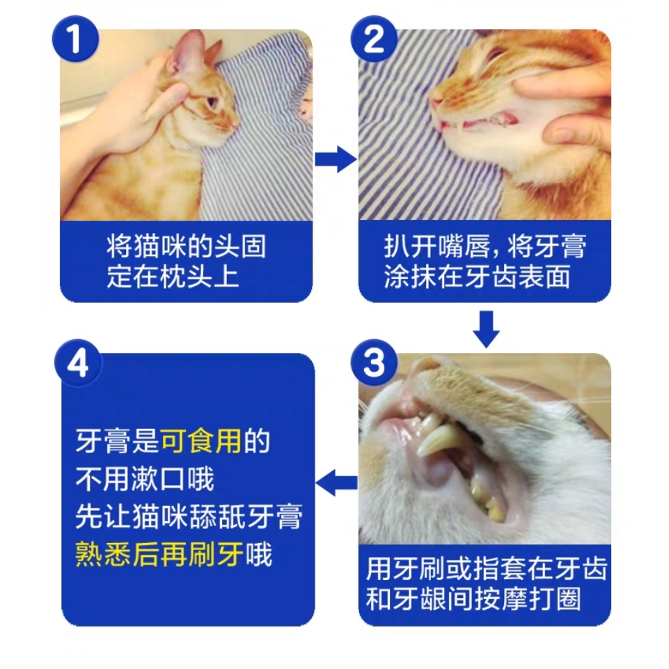 维克牙膏猫牙膏牙刷套装猫咪狗狗宠物牙膏可食用去除口臭牙结石 - 图2