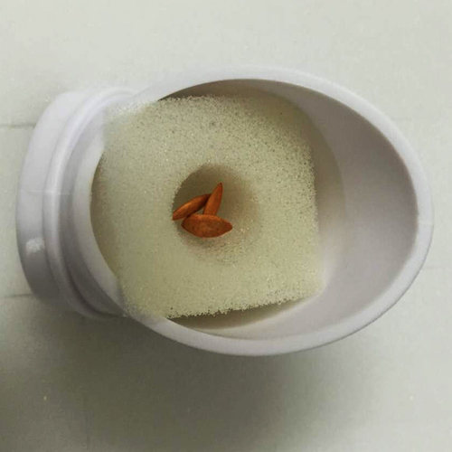 32#儒风柱专用立体种植蔬菜种基地无土栽培育苗用带凹洞定植海绵 - 图2