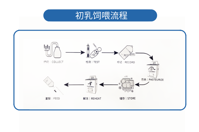 犊牛初乳袋四升2.5升奶牛初乳储奶袋初乳袋初乳储存袋奶牛初乳袋 - 图1