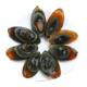 Xiangyang Yicheng Specialty Gift Box Preserved Egg Li Fangzhong