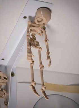 亚马逊新品Poseable Skeleton Fridge Magnet 3D迷你骨架冰箱磁铁