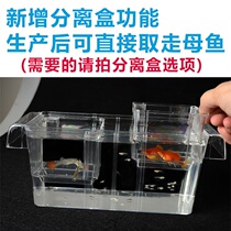 Cylinder External Breeding Box Peacock Fish Hatchbox Multifunction Fish Fry Independent Type Isolation Incubators Acrylic Mother Fish Tank