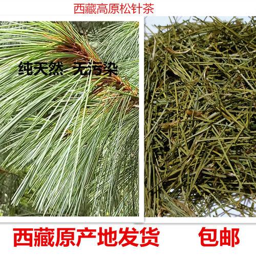 正宗西藏高原松针粉松针茶百分百纯无污染无添加 包邮 - 图2