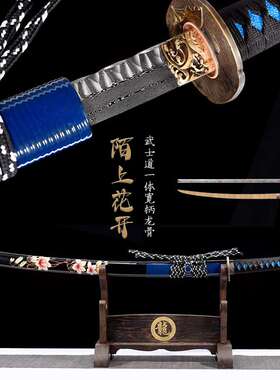 龙泉宝刀 太打居合练习士刃道肋胁差定制武动漫东阳日本cos未开刃