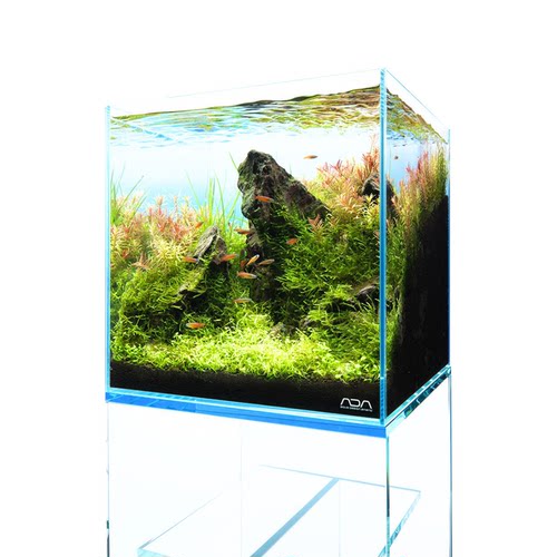 ADA中小型超白玻璃方形鱼缸薄胶痕无公差水草造景鱼缸包邮圆通 - 图1