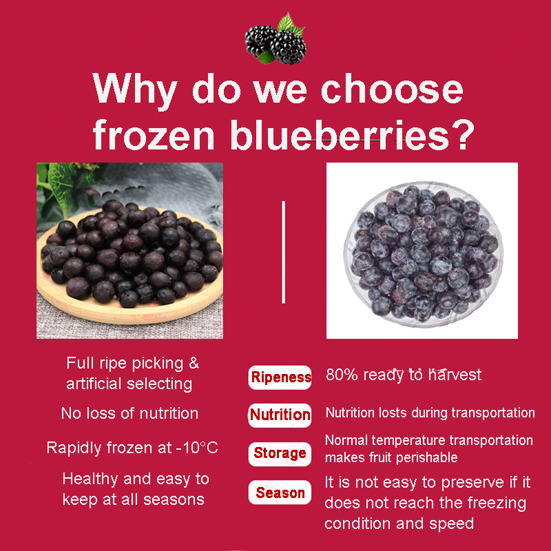 1000g Blueberries Fresh Frozen Blueberry No Added Sugar - 图0