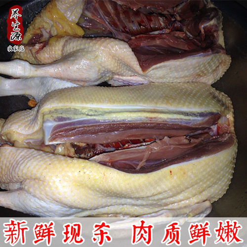 农家江河放养番鸭土鸭母鸭飞鸭红头鸭腾鸭洋鸭瘤头鸭老鸭子新鲜 - 图2