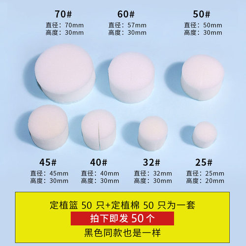 阳台水培蔬菜定植篮无土栽培种菜设备塑料加深水耕种植篮杯加海绵 - 图1