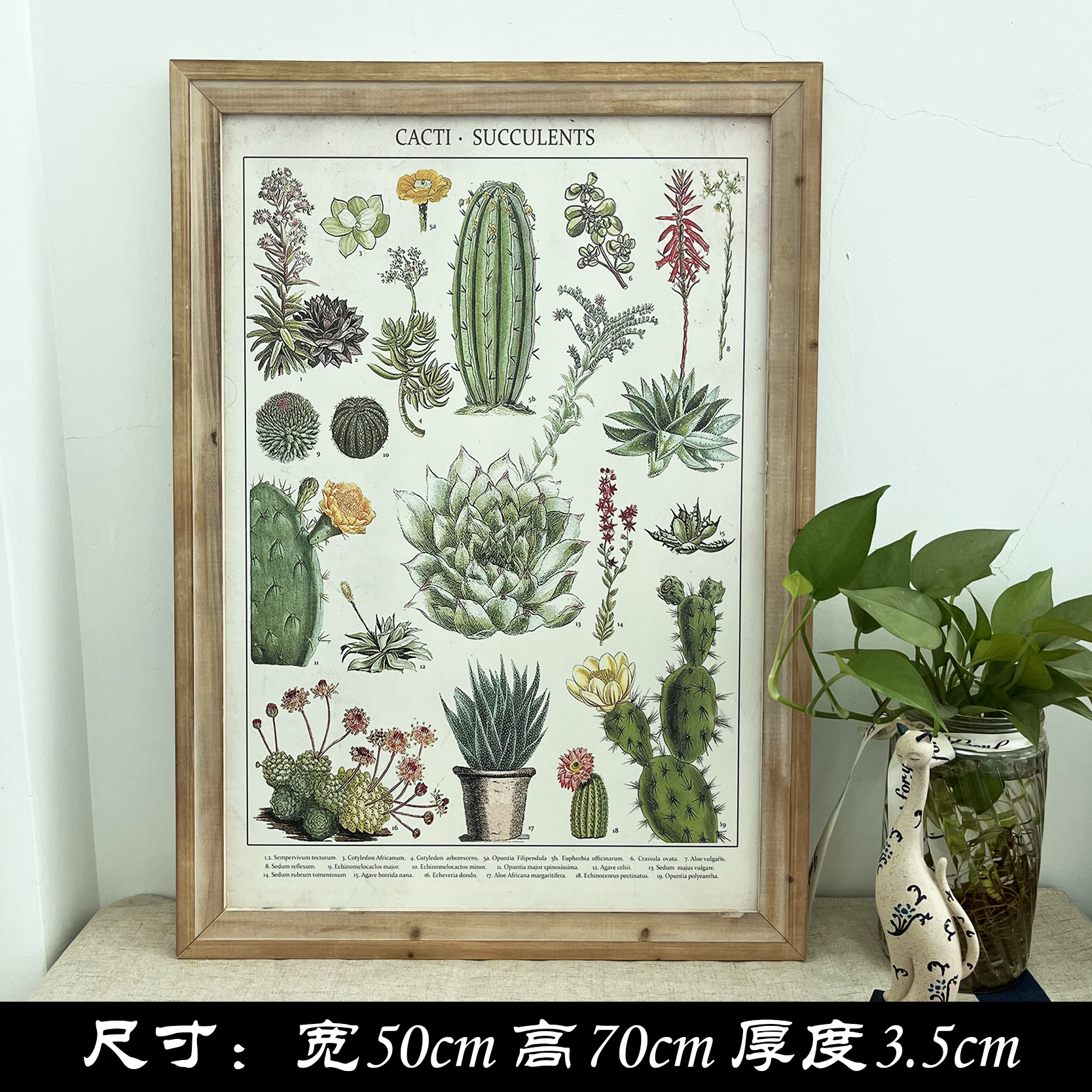 现货~美式乡村干花标本图案装饰画绿植物做旧实木边框挂画壁挂饰