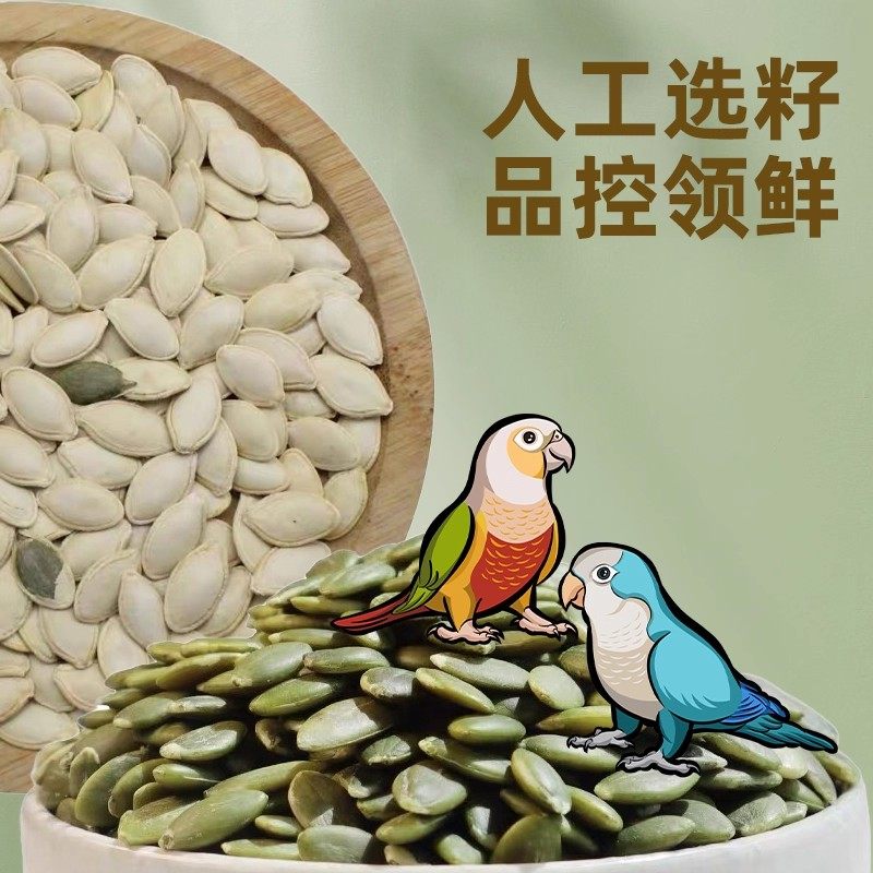 和尚鸟白瓜子南瓜子营养饲料生南瓜籽仁无盐糖天然鸟带壳粮鸟零食,淘宝优惠券,粉丝福利购,淘宝优惠卷
