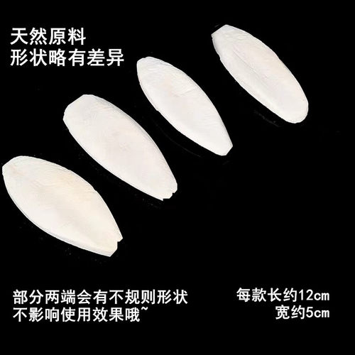 天然墨鱼骨鹦鹉玄凤鸟补钙磨嘴啃咬鸟用品繁殖营养 大头虎皮鹦鹉 - 图1