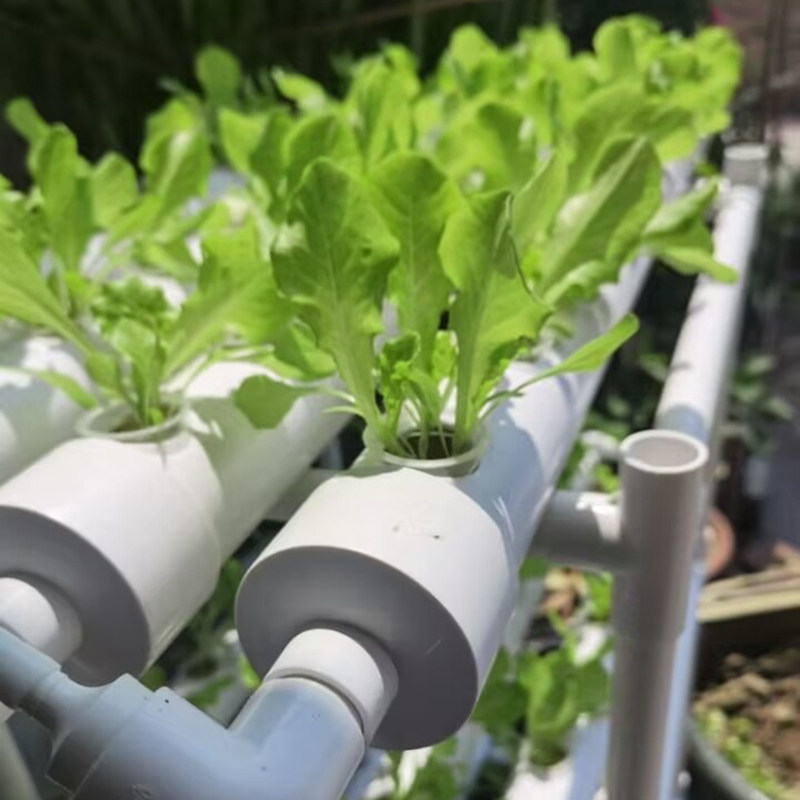 水培蔬菜设备