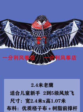 微风老鹰雄鹰初学者正宗潍坊风筝