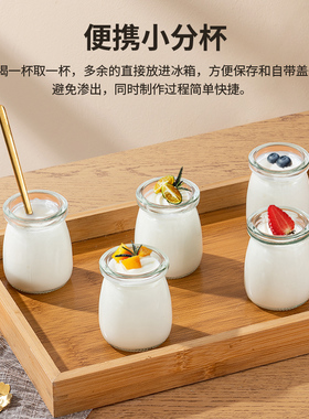 小型家用酸奶机全自动智能分杯纳豆机米酒发酵器出口110V