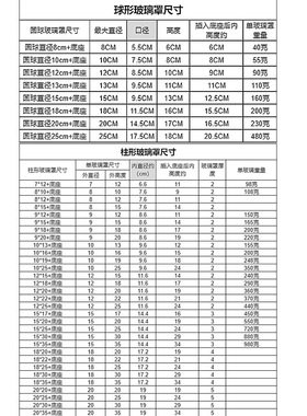 软木塞永生花玻璃罩子透明展示防尘罩粘土手办模摆件跨境厂家
