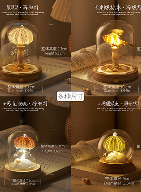 贝壳海胆小夜灯玻璃罩子成品