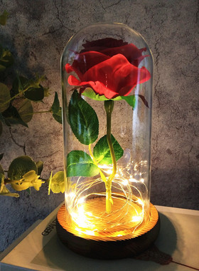 玻璃罩玫瑰花永生花情人节LED发光礼品求婚婚房装饰摆件火树银花