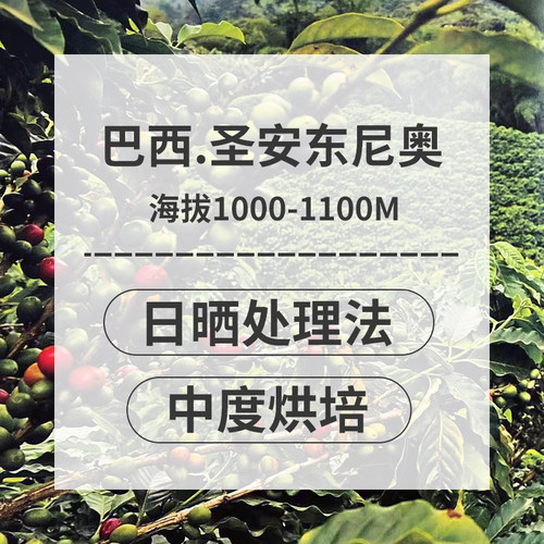 星湃 巴西圣安东尼奥巧克拉咖啡豆手冲单品醇香均衡 可现磨粉227g - 图0
