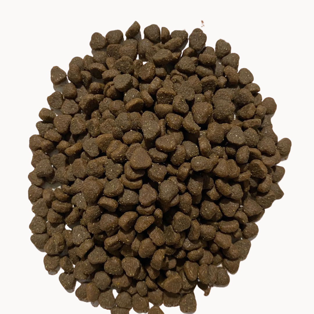 自制牛肉三文鱼鲜肉猫粮干粮成猫幼猫通用型营养增肥发腮美毛包邮,淘宝优惠券,粉丝福利购,淘宝优惠卷