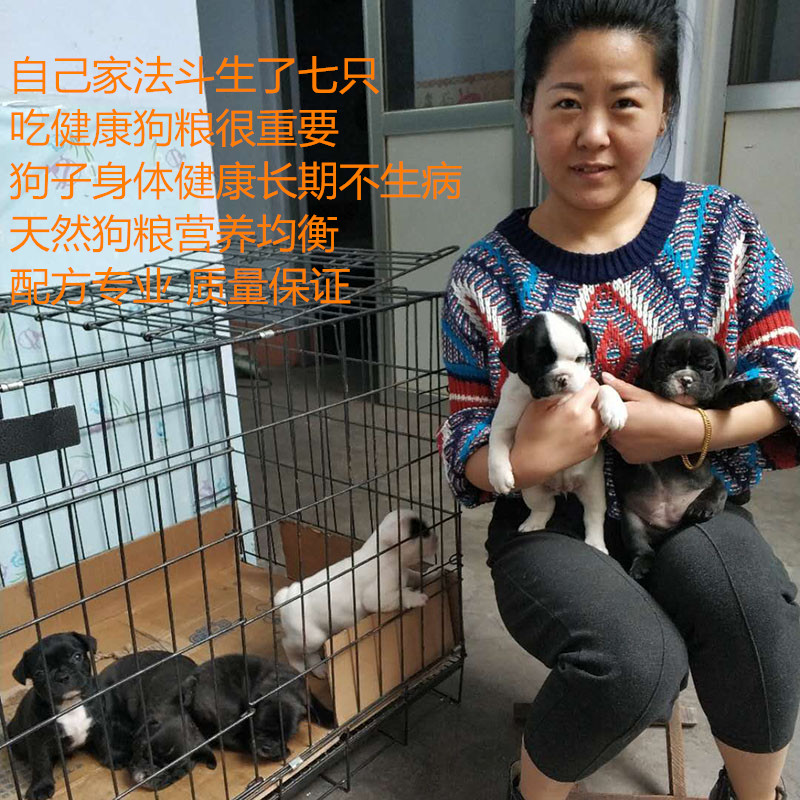 自制鸡肉天然鲜肉狗粮金毛拉不拉多泰迪成犬幼犬通用型 2.5KG包邮-图0