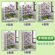 Hollow design free design